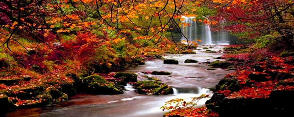 Autumn