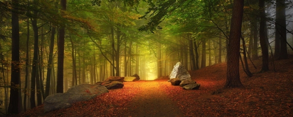 Way to Paradise - Kilian Schonberger - 41071742